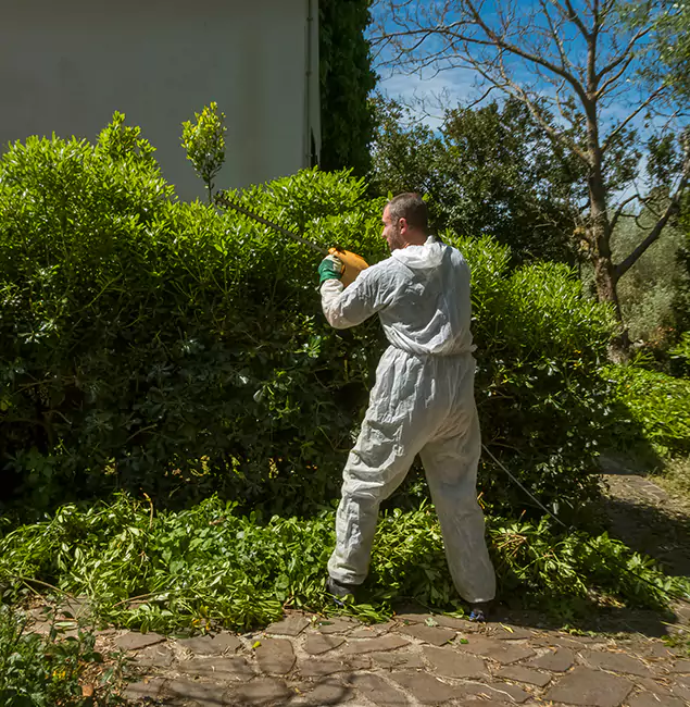 Why Millburn Pest Control Pro Leads Mosquito Control in Millburn, NJ?