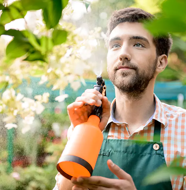 Why Millburn Pest Control Pro Is the Best Mosquito Control Company in Millburn, NJ?