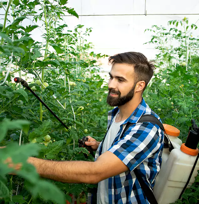 Why Millburn Homeowners Choose Millburn Pest Control Pro for Mosquito Spraying?