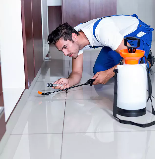 Why Millburn Pest Control Pro Is the Proven Choice in Millburn, NJ?