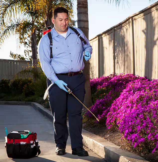 Why Choose Millburn Pest Control Pro in Millburn, NJ?