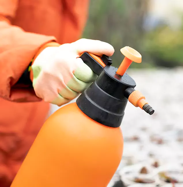 Why Choose Millburn Pest Control Pro for Orange Termite Treatment in Millburn, NJ?