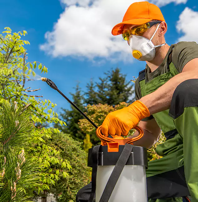 Why Choose Millburn Pest Control Pro for Outdoor Pest Control in Millburn, NJ?
