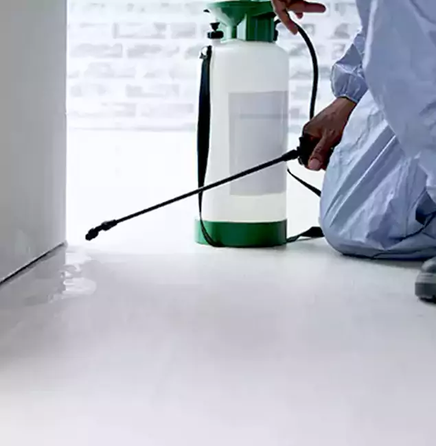 Why Choose Millburn Pest Control Pro for Rat Exterminator in Millburn, NJ?