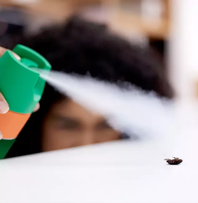 Why Millburn, NJ Homeowners Choose Millburn Pest Control Pro for Roach Pest Control?