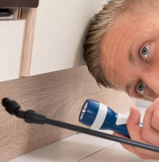 Why Choose Millburn Pest Control Pro for Rodent Exterminator in Millburn, NJ?