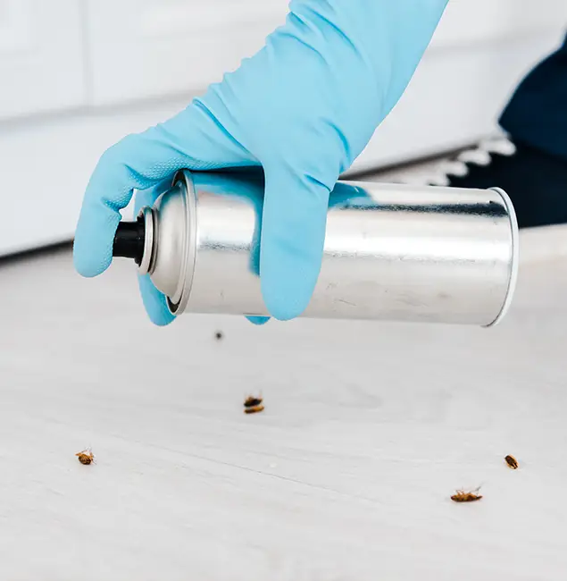 Why Choose Millburn Pest Control Pro for Safe Bed Bug Treatment in Millburn, NJ?