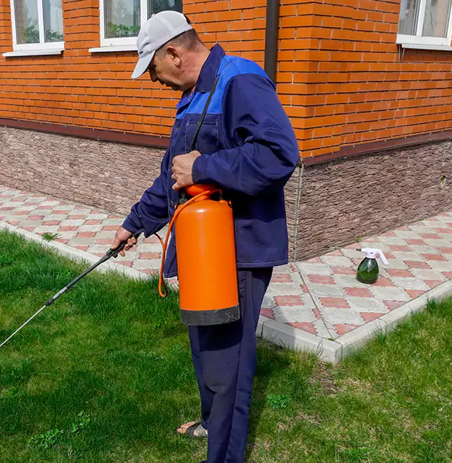 Why Choose Millburn Pest Control Pro for Soil Treatment in Millburn, NJ?