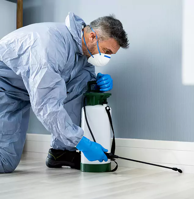 Why Choose Millburn Pest Control Pro for Subterranean Termites Treatment in Millburn, NJ?