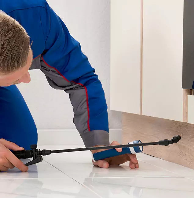Why Millburn Residents Choose Millburn Pest Control Pro to Get Rid of Sugar Ants?