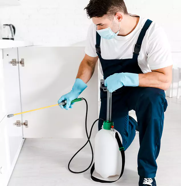 Why Choose Millburn Pest Control Pro for Termite Spot Treatment in Millburn, NJ?