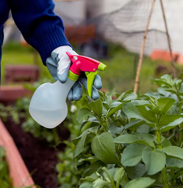 Why Millburn Relies on Millburn Pest Control Pro for Wasp Control Services?