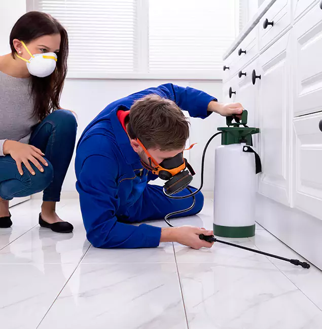 Why Choose Wood Termite Treatment by Millburn Pest Control Pro in Millburn, NJ?