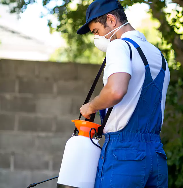 Why Millburn Pest Control Pro Is the Right Choice for Yellow Jacket Removal in Millburn, NJ?
