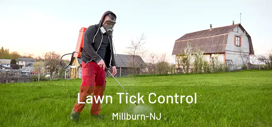  Lawn Tick Control Millburn-NJ