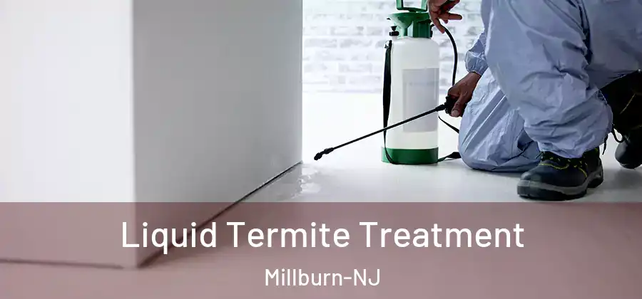 Liquid Termite Treatment Millburn-NJ