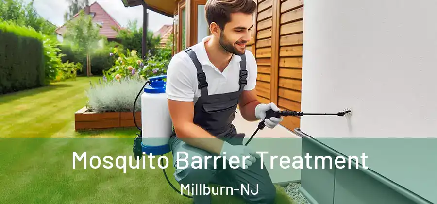 Mosquito Barrier Treatment Millburn-NJ
