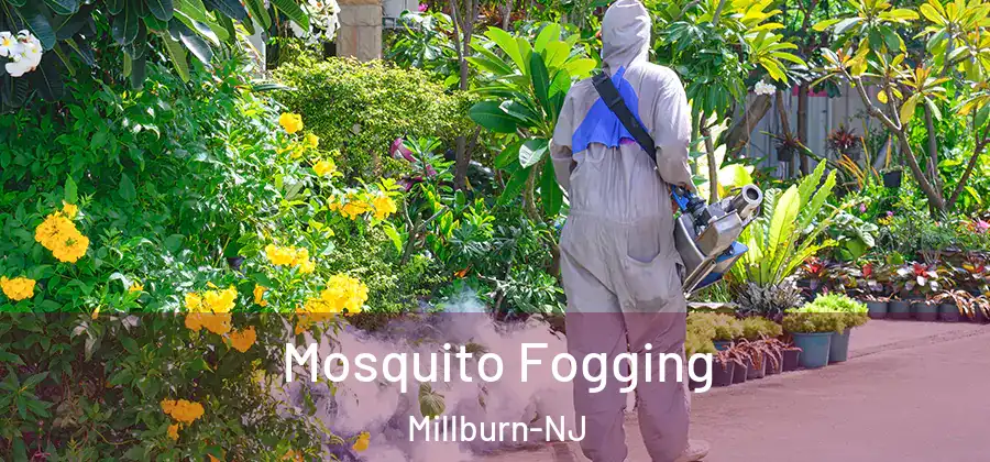 Mosquito Fogging Millburn-NJ