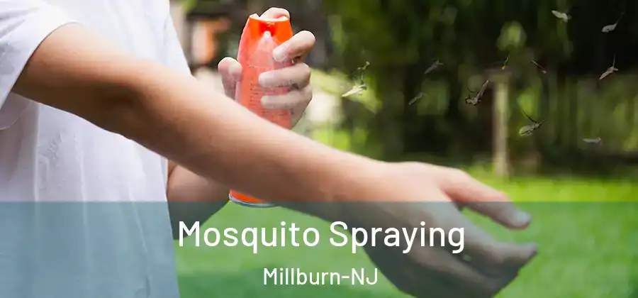 Mosquito Spraying Millburn-NJ
