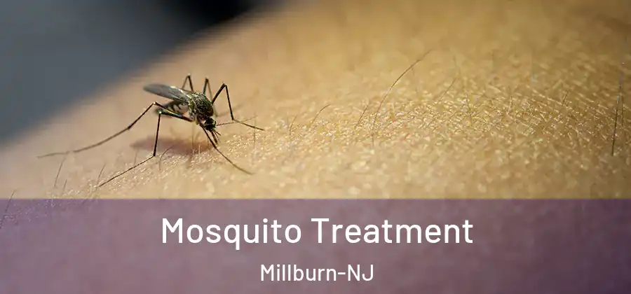 Mosquito Treatment Millburn-NJ