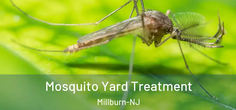  Mosquito Yard Treatment Millburn-NJ
