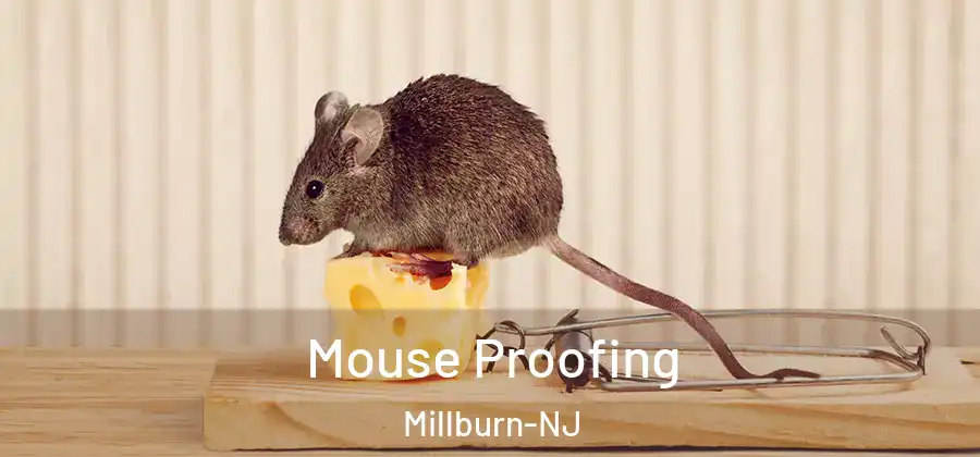  Mouse Proofing Millburn-NJ