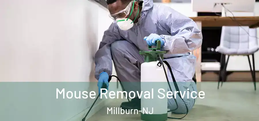 Mouse Removal Service Millburn-NJ