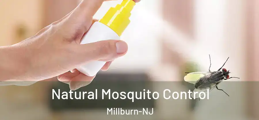  Natural Mosquito Control Millburn-NJ