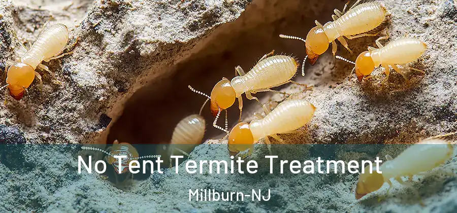 No Tent Termite Treatment Millburn-NJ