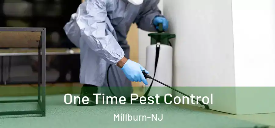 One Time Pest Control Millburn-NJ