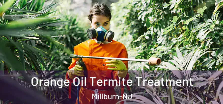 Orange Oil Termite Treatment Millburn-NJ