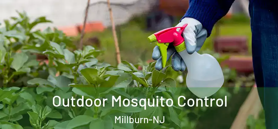 Outdoor Mosquito Control Millburn-NJ