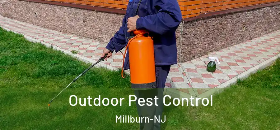 Outdoor Pest Control Millburn-NJ