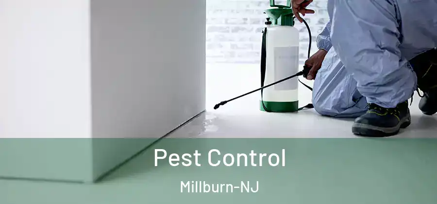  Pest Control Millburn-NJ
