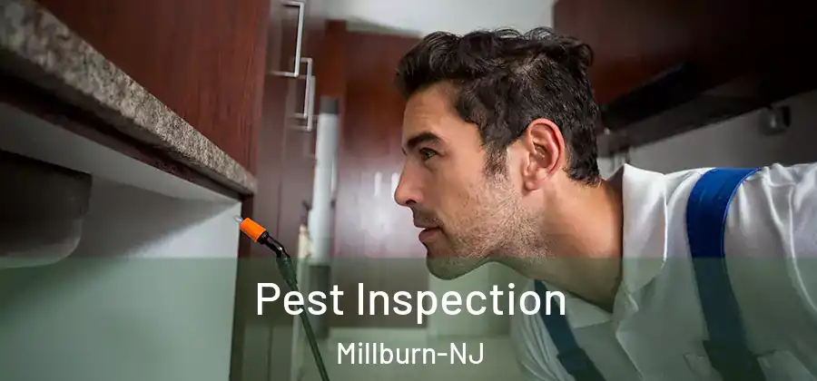 Pest Inspection Millburn-NJ
