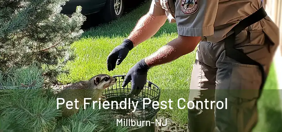 Pet Friendly Pest Control Millburn-NJ