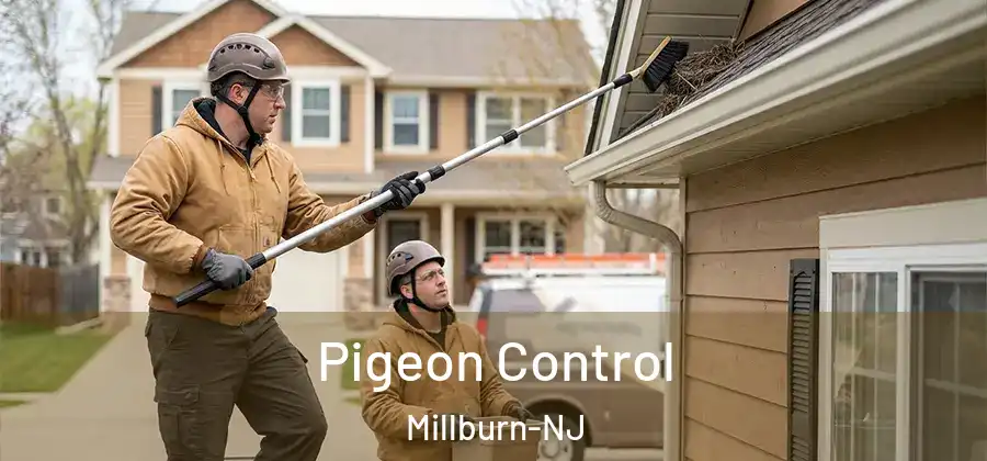 Pigeon Control Millburn-NJ