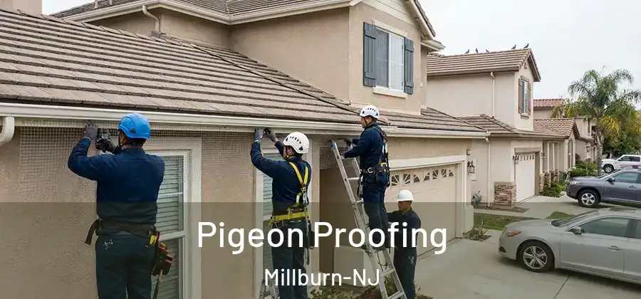  Pigeon Proofing Millburn-NJ