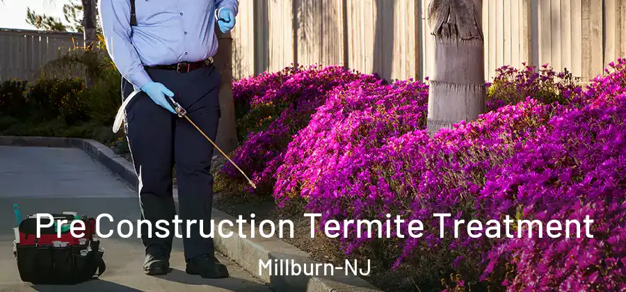 Pre Construction Termite Treatment Millburn-NJ