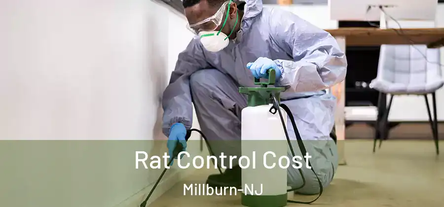 Rat Control Cost Millburn-NJ