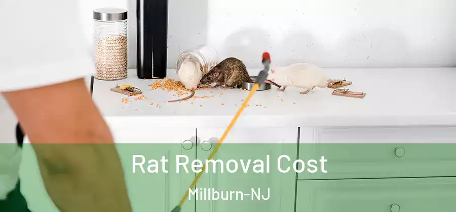 Rat Removal Cost Millburn-NJ