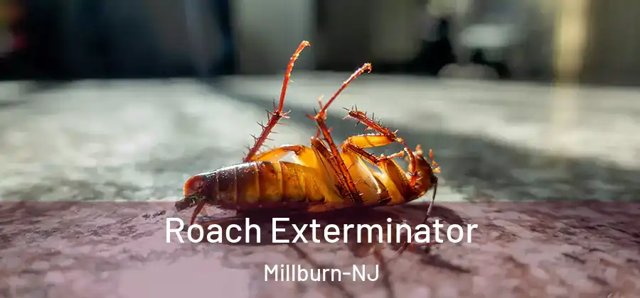  Roach Exterminator Millburn-NJ