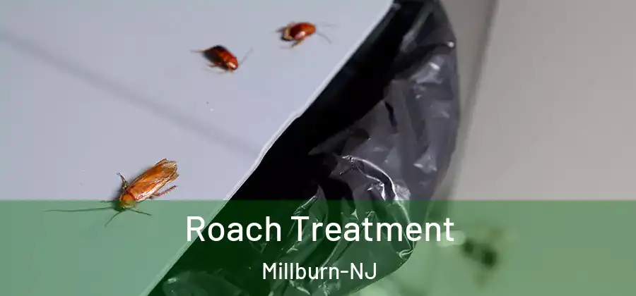 Roach Treatment Millburn-NJ