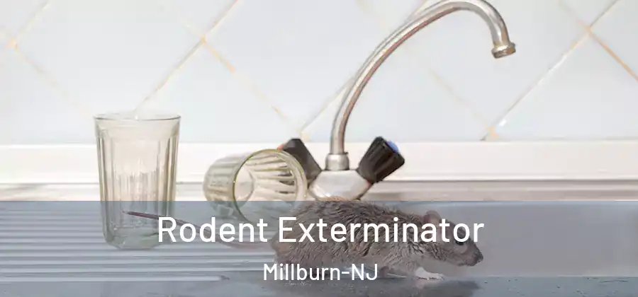 Rodent Exterminator Millburn-NJ
