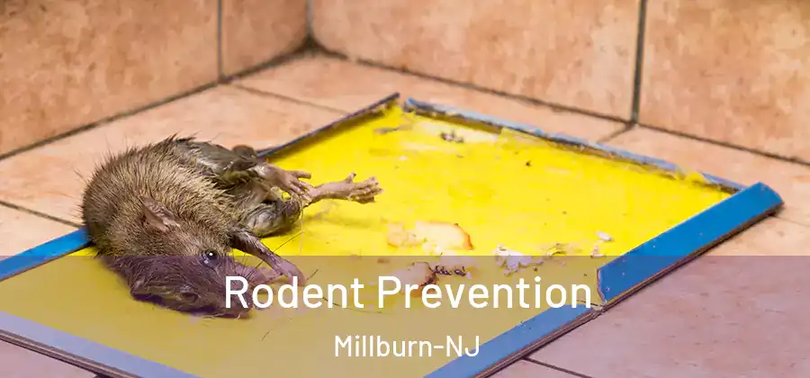 Rodent Prevention Millburn-NJ