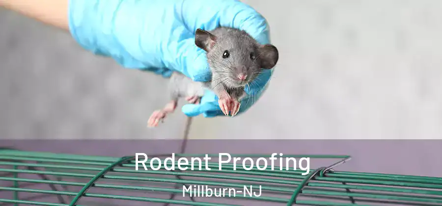 Rodent Proofing Millburn-NJ