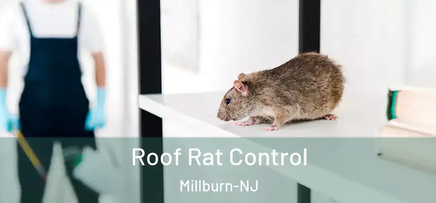  Roof Rat Control Millburn-NJ