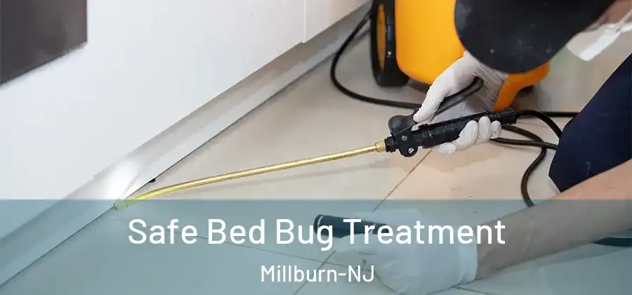 Safe Bed Bug Treatment Millburn-NJ