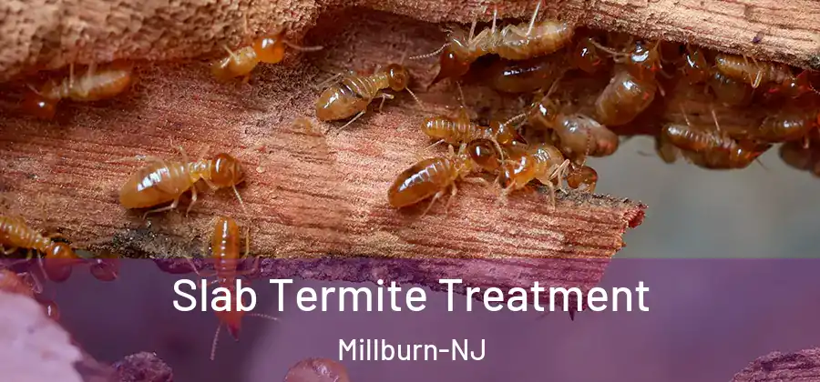 Slab Termite Treatment Millburn-NJ