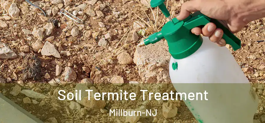 Soil Termite Treatment Millburn-NJ